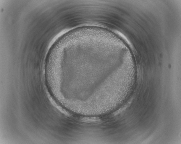 X0000085841133200704132056