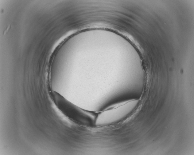 X0000085841134200704132056