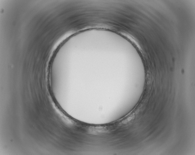 X0000085841135200704132056