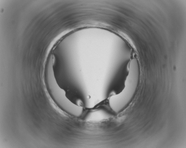 X0000085841136200704132056