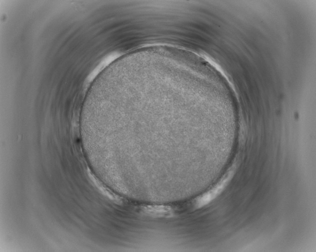 X0000085841137200704132056