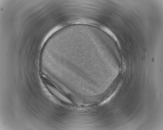 X0000085841138200704132056