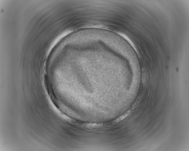 X0000085841139200704132056