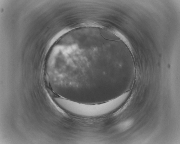 X0000085841141200704132056