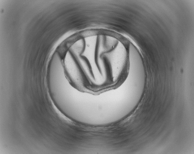 X0000085841143200704132056