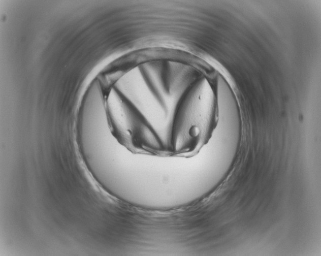 X0000085841144200704132056