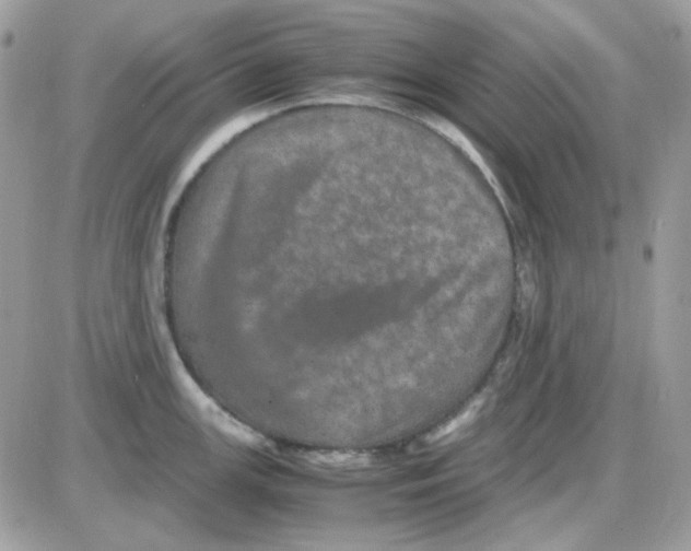 X0000085841147200704132057