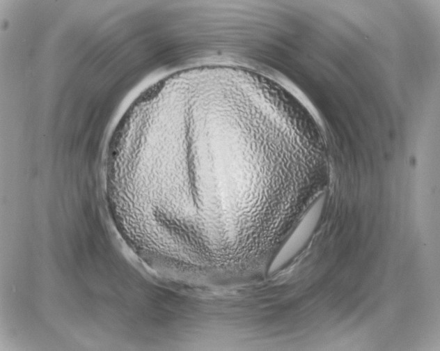 X0000085841148200704132057