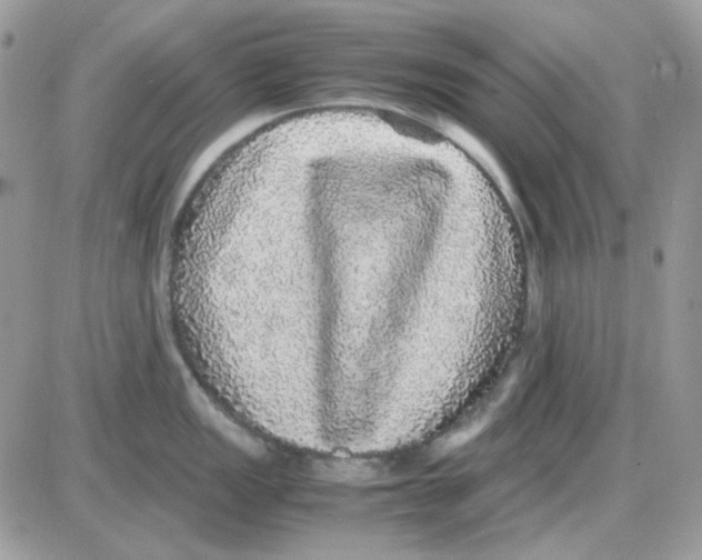 X0000085841149200704132057