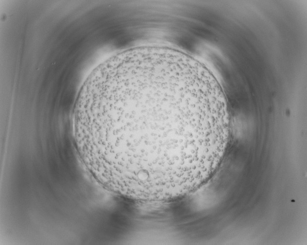 X0000085841150200704132057