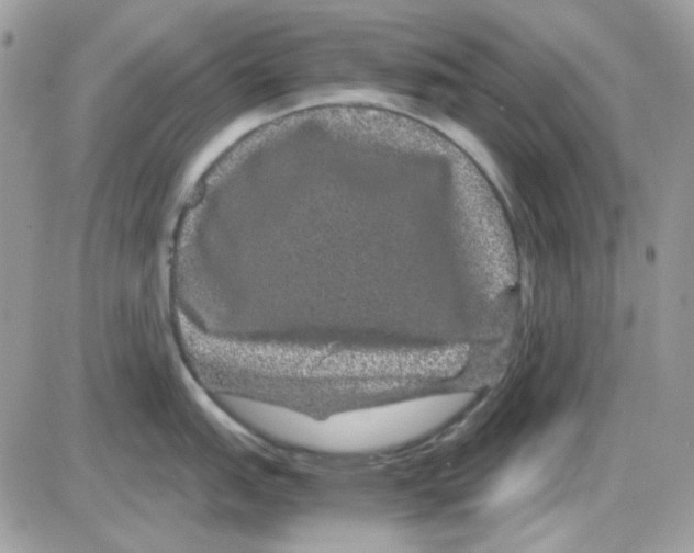 X0000085841151200704132057