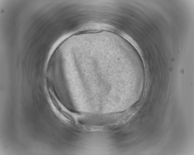 X0000085841152200704132057