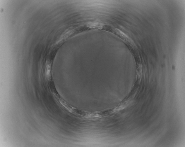 X0000085841154200704132056