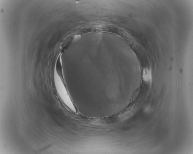 X0000085841155200704132056