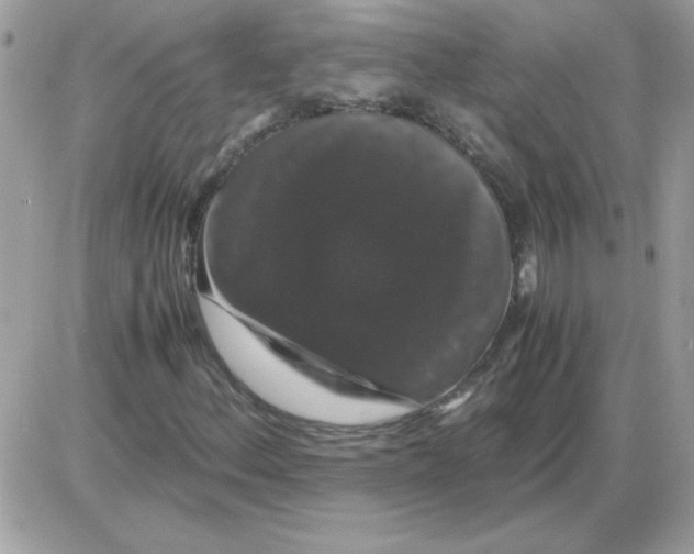 X0000085841156200704132056