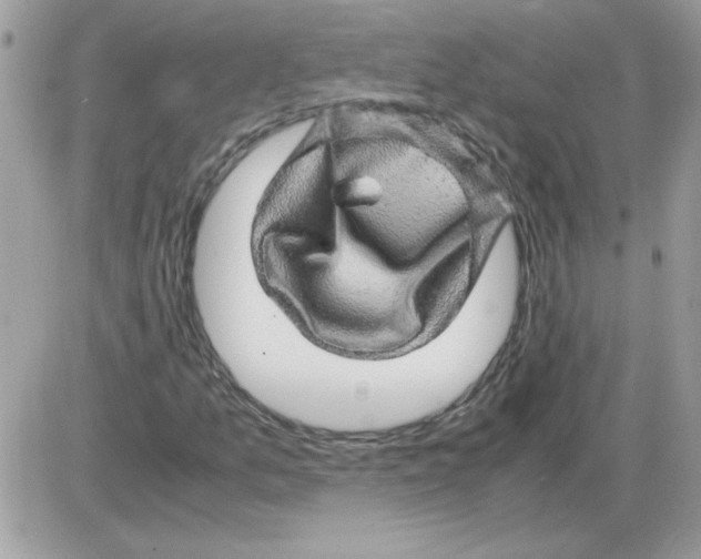 X0000085841157200704132056