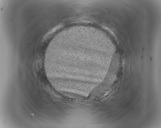 X0000085841159200704132056