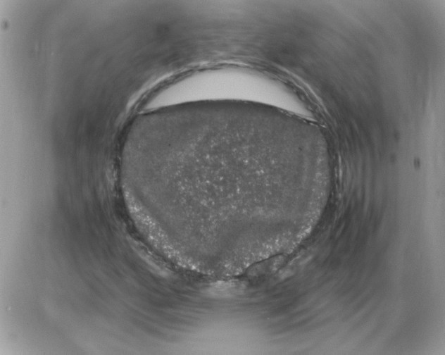 X0000085841160200704132056