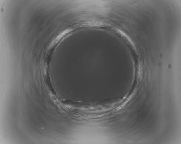 X0000085841161200704132056