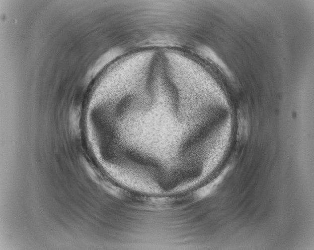 X0000085841162200704132056