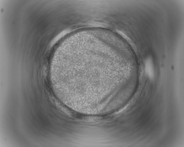 X0000085841163200704132056