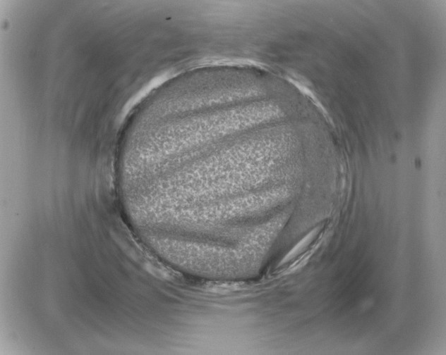 X0000085841165200704132056