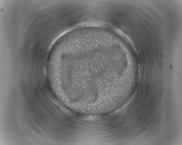 X0000085841166200704132056