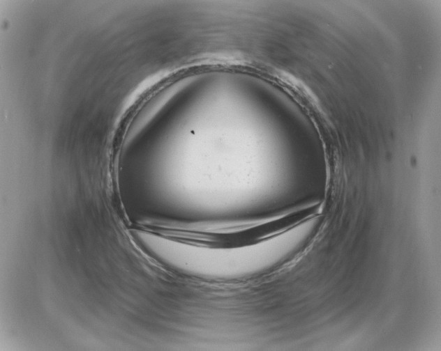 X0000085841168200704132056