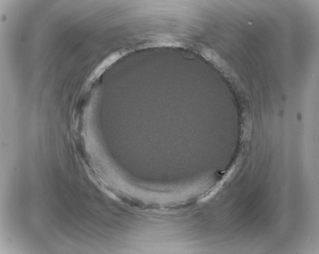 X0000085841169200704132056