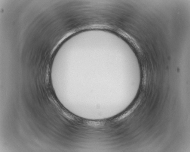 X0000085841170200704132056