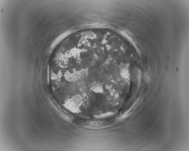 X0000085841171200704132055