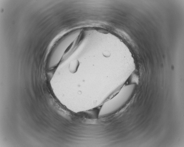 X0000085841172200704132055