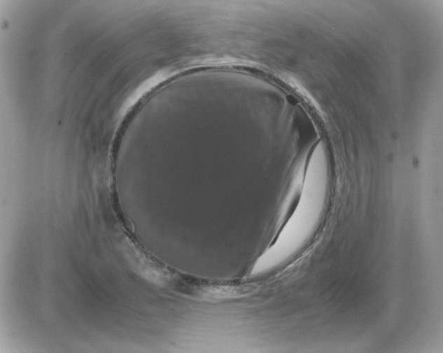 X0000085841173200704132055