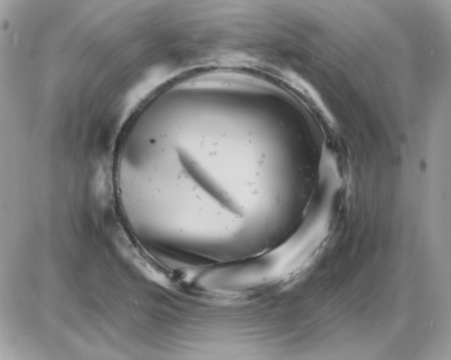 X0000085841176200704132055