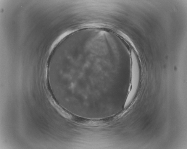 X0000085841179200704132055