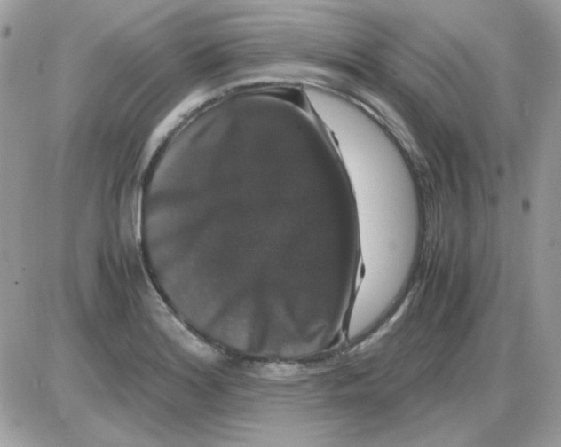 X0000085841180200704132055