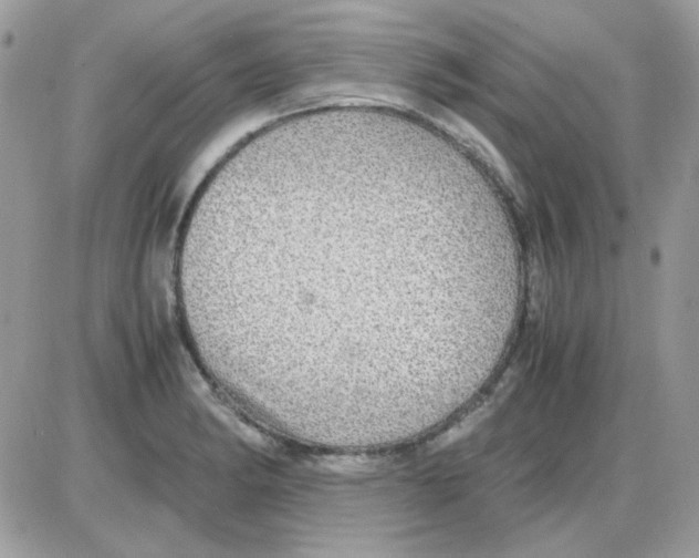 X0000085841182200704132055