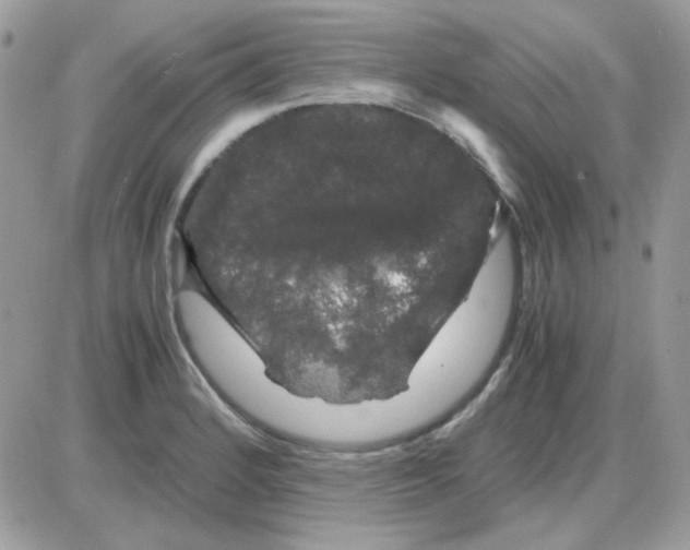 X0000085841184200704132055