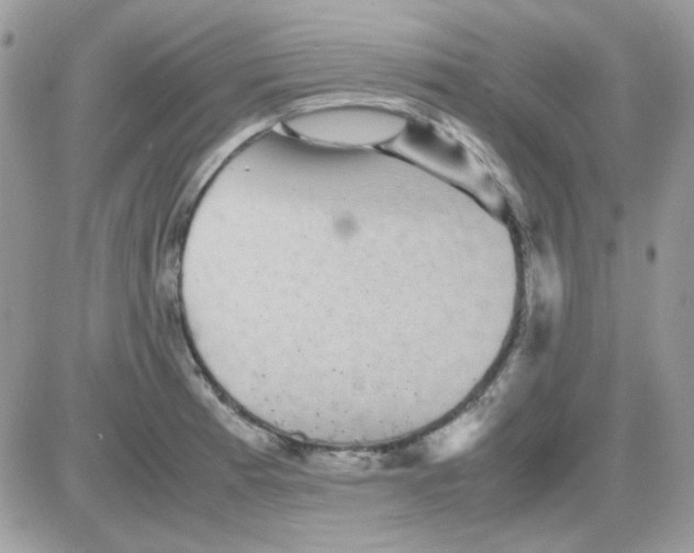 X0000085841185200704132055