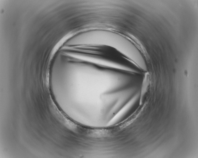 X0000085841188200704132055