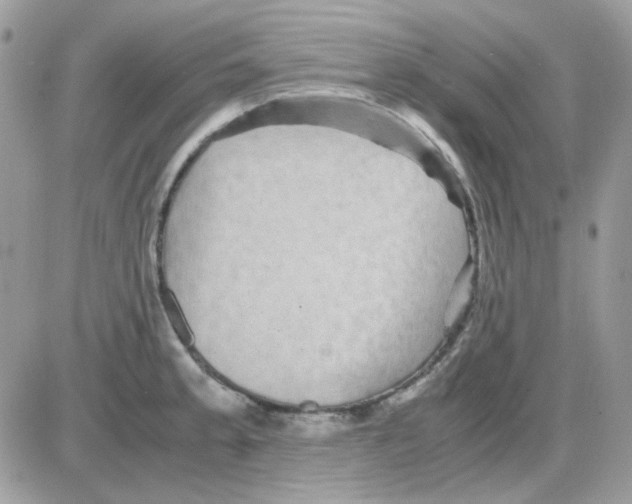 X0000085841189200704132055