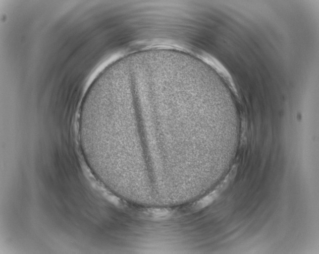 X0000085841190200704132055