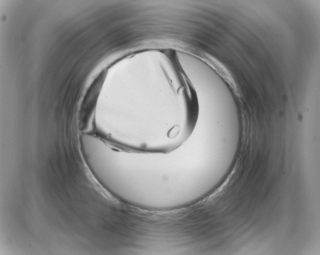 X0000085841192200704132055