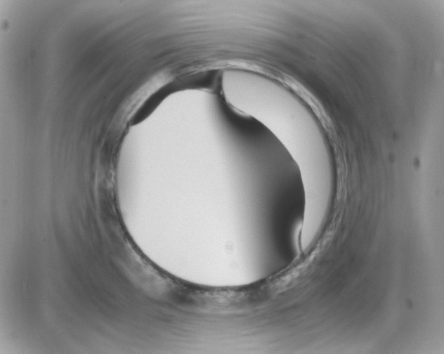 X0000085841193200704132055