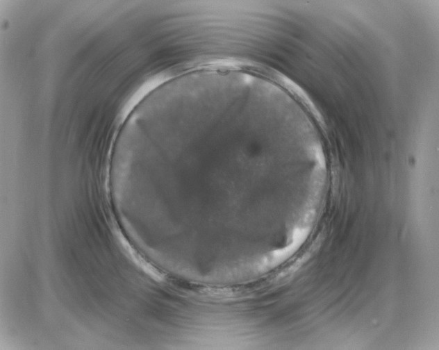 X0000085841194200704132055