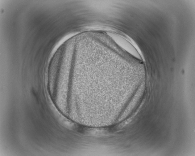 X0000085841195200704132055