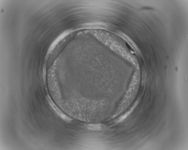 X0000085841196200704132055