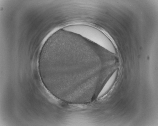 X0000085841197200704132055