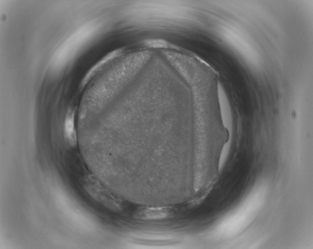 X0000085841198200704132055