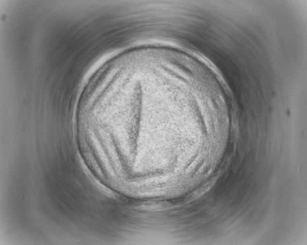 X0000085841199200704132055